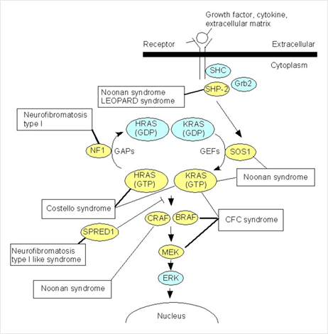 Fig1revised