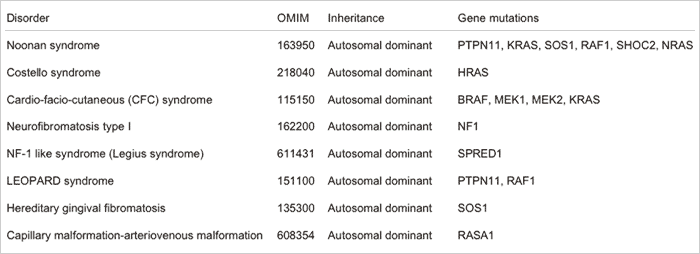 The RAS/MAPK Syndromes Homepage